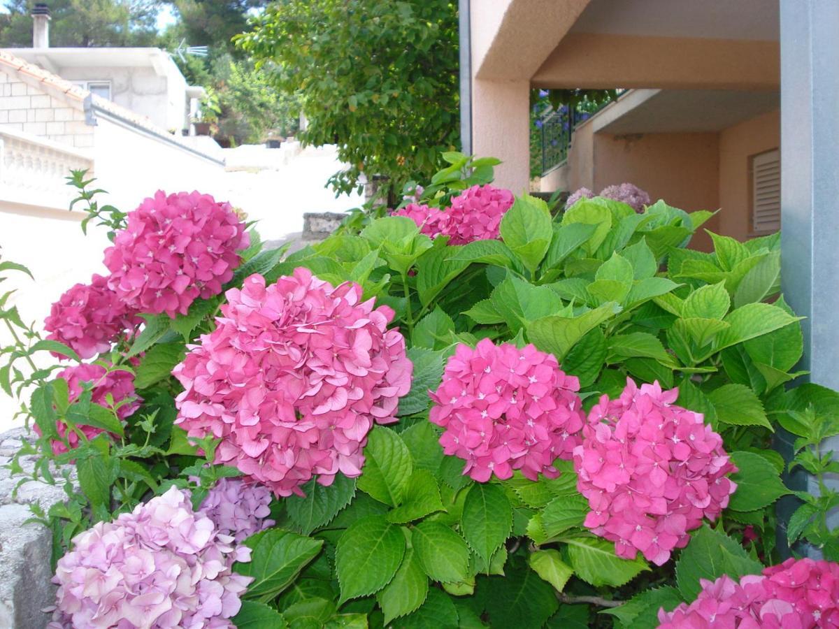 Apartments Ivanka Okrug Gornji Bilik gambar